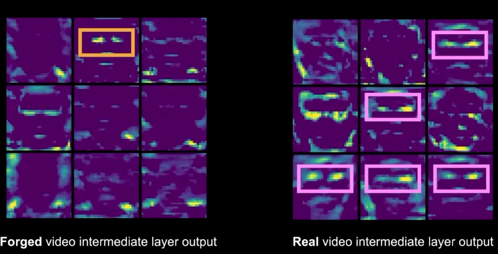 MesoNet intermediate layer activations showing how the network focuses on eye regions (highlighted) when distinguishing forged from real video