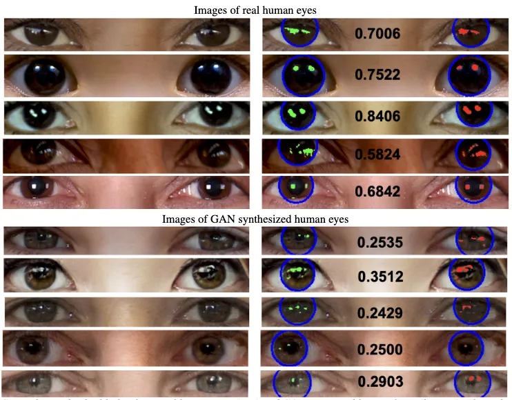 Corneal specular highlight analysis comparing real human eyes (consistency scores ~0.7) versus GAN-synthesized eyes (scores ~0.3)