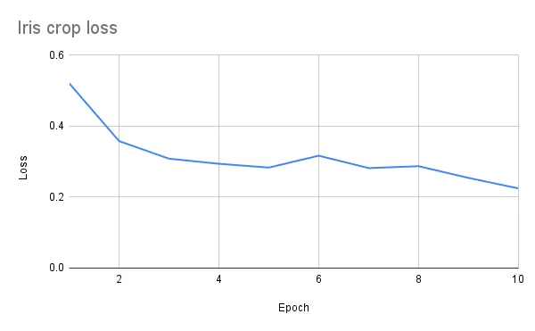 Training loss curve for iris crop approach - faster convergence and lower final loss